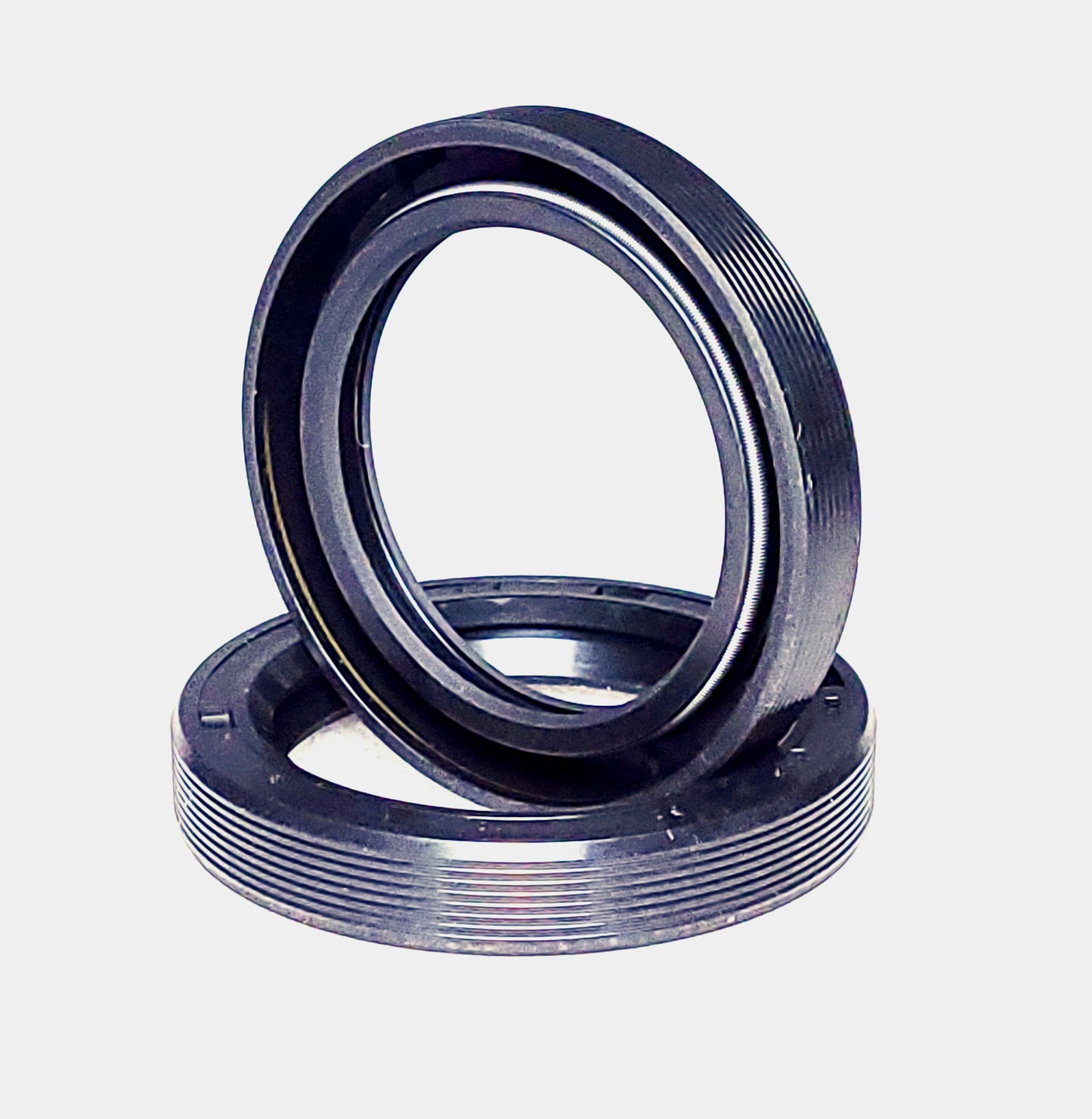IRS Bearing Seal, 1969-1979