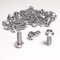 Titanium 22-piece 8mm x 1.25mm bolt kit