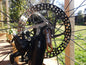 Brake disc / rotor