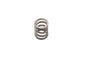 PMO Mixture Screw Spring for Porsche 911 (PM-O153-1)